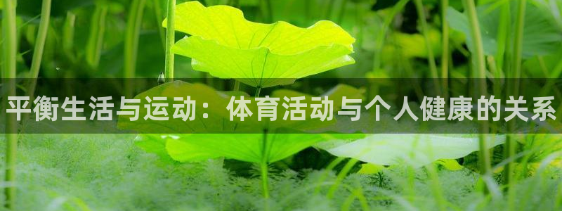 yy易游官方正版app五金厂:平衡生活与运动:体育活动与个人