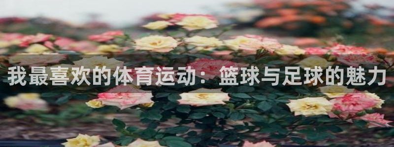 yy易游官网下载平台注册要钱吗安全吗:我最喜欢的体育运动:篮