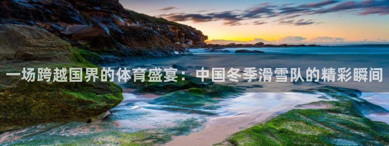 yy易游官方正版app集团官网首页网址:一场跨越国界的体育盛